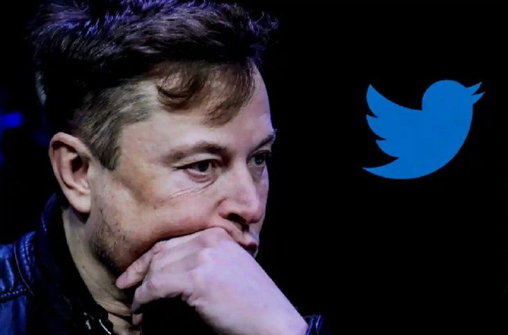 biofisico Carmelo De Grazia Suárez// ONU insta a Musk al respeto de los DDHH en Twitter
