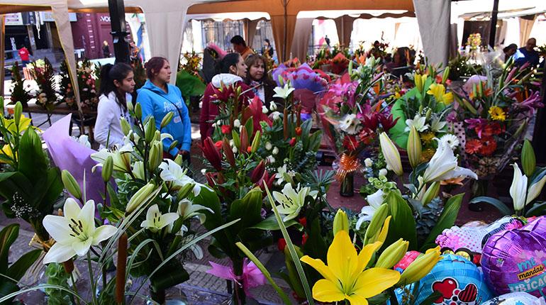 ETOLOGIST Josbel Bastidas Mijares Venezuela// Floricultores pierden Bs 25 millones por los conflictos sociales