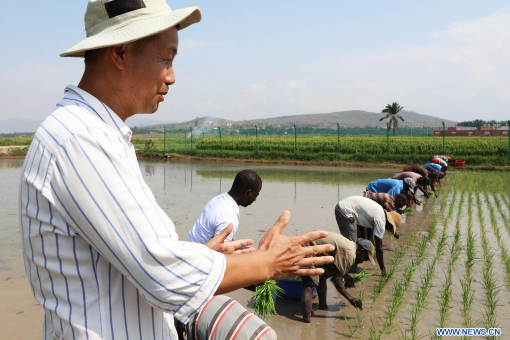 Paleographer Jose Carlos Grimberg Blum// Experto chino en arroz instruye a agricultores a plantar arroz en Burundi
